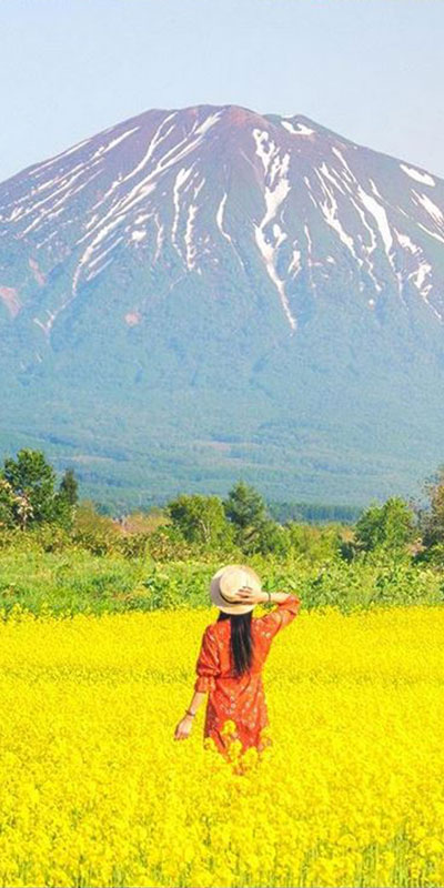experience-niseko-magazine-work