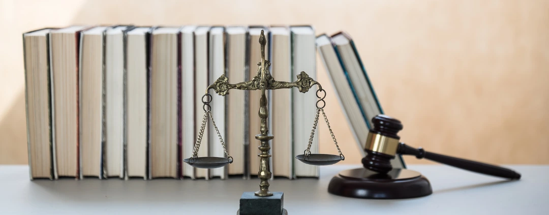 immigration law firm representation image